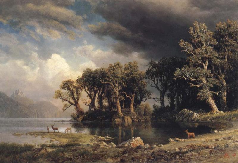 Albert Bierstadt The Coming Storm oil painting picture